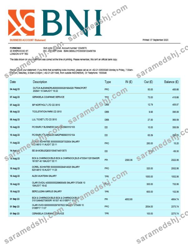 BNI Bank firm statement Word and PDF template